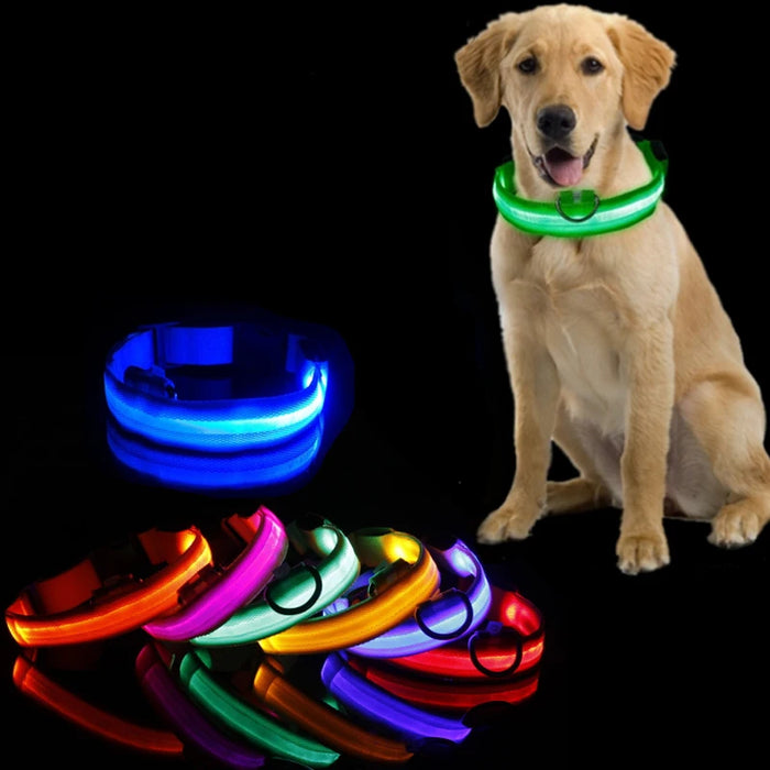 Led Dog Collar Light Anti-lost Collar For Dogs Puppies  Night Luminous Supplies Pet Products Accessories USB Charging/Battery