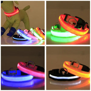 USB Charging LED Dog Collar Dog Safety Night Light Flashing Necklace Fluorescent Collars Pet Supplies